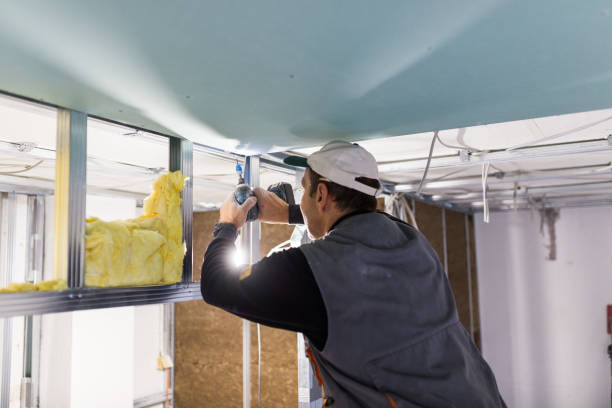 Best Residential Insulation in Forest Glen, MD
