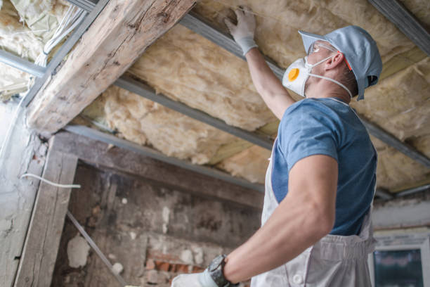 Best Cellulose Insulation in Forest Glen, MD