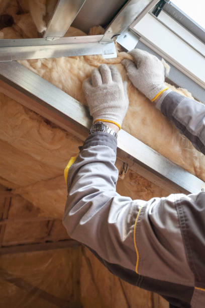 Best Spray Foam Insulation in Forest Glen, MD