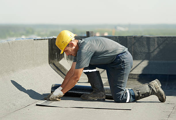 Best DIY Insulation Kits and Guidance in Forest Glen, MD