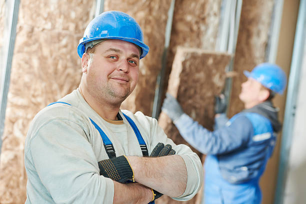 Types of Insulation We Offer in Forest Glen, MD