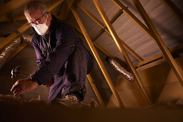 Best Fiberglass Insulation in Forest Glen, MD
